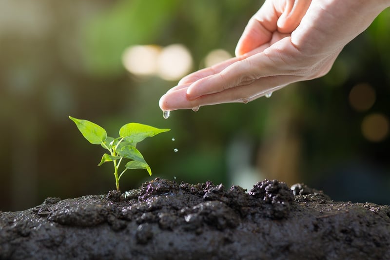 Gardening image
